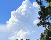 洛阳天气预报,洛阳7天天气预报,洛阳15天天气预报,洛阳天气查询